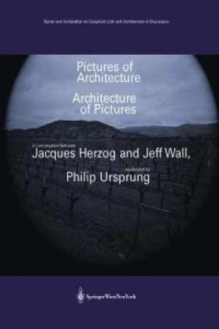 Kniha Pictures of Architecture - Architecture of Pictures Jeff Wall