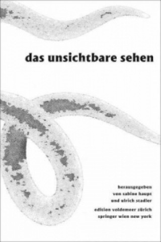 Kniha Das Unsichtbare sehen Sabine Haupt
