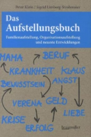 Kniha Das Aufstellungsbuch Peter Klein