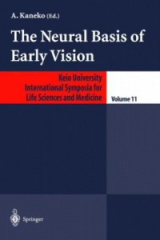 Könyv The Neural Basis of Early Vision A. Kaneko