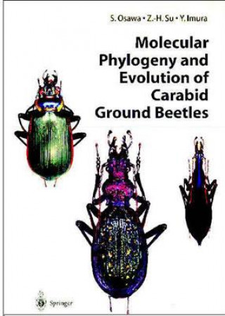 Kniha Molecular Phylogeny and Evolution of Carabid Ground Beetles S. Osawa