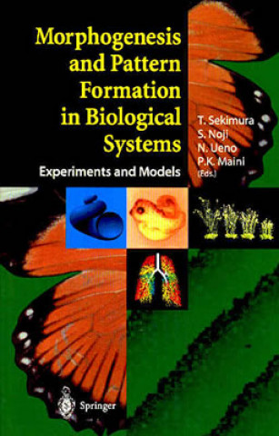 Kniha Morphogenesis and Pattern Formation in Biological Systems Toshio Sekimura