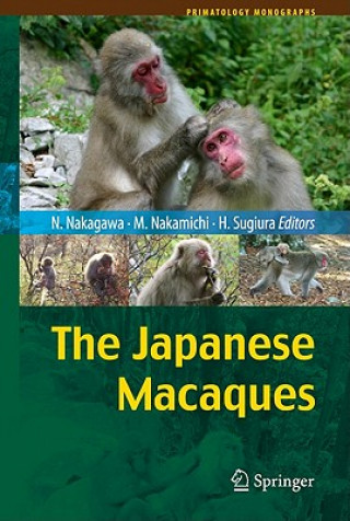 Książka Japanese Macaques Naofumi Nakagawa