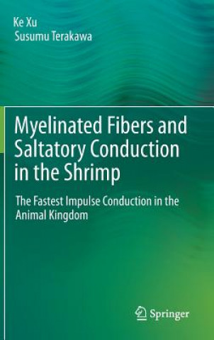 Книга Myelinated Fibers and Saltatory Conduction in the Shrimp Ke Xu