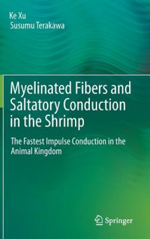 Kniha Myelinated Fibers and Saltatory Conduction in the Shrimp Ke Xu