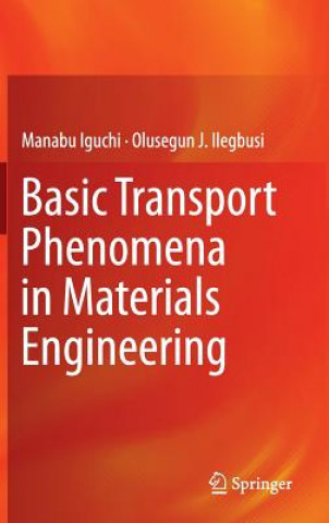 Kniha Basic Transport Phenomena in Materials Engineering Manabu Iguchi