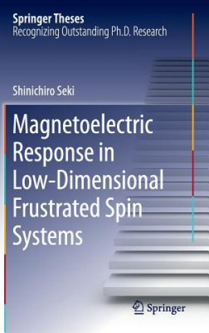 Könyv Magnetoelectric Response in Low-Dimensional Frustrated Spin Systems Shinichiro Seki