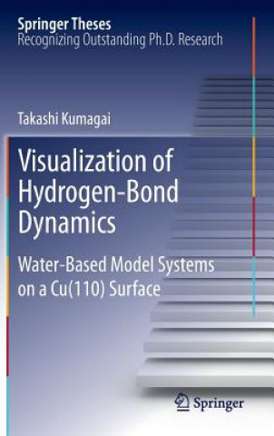 Книга Visualization of Hydrogen-Bond Dynamics Takashi Kumagai