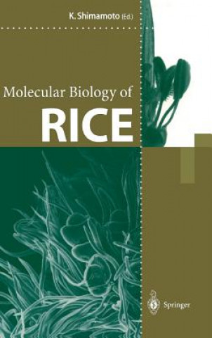 Kniha Molecular Biology of Rice Ko Shimamoto