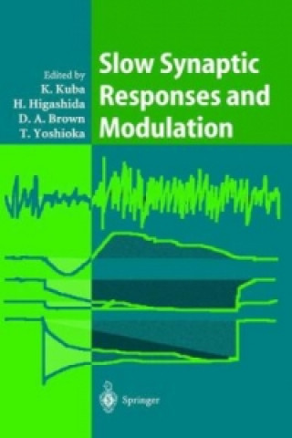 Libro Slow Synaptic Responses and Modulation K. Kuba
