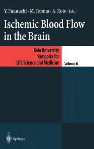 Kniha Ischemic Blood Flow in the Brain Y. Fukuuchi