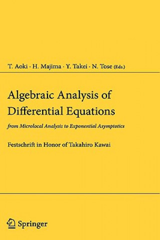 Kniha Algebraic Analysis of Differential Equations T. Aoki