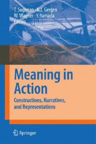 Buch Meaning in Action Toshio Sugiman