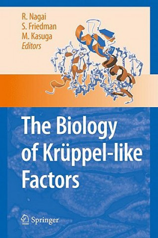 Książka Biology of Kruppel-like Factors Ryozo Nagai