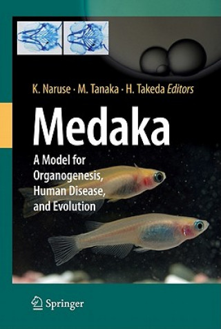 Könyv Medaka Kiyoshi Naruse