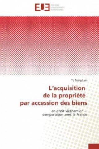 Livre L'acquisition de la propriété par accession des biens To Trang Lam