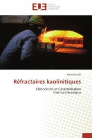 Könyv Réfractaires kaolinitiques Mostafa Kolli