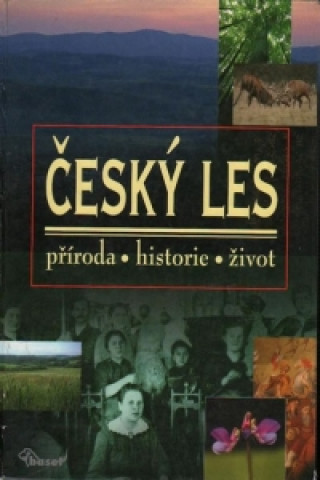 Kniha Český les autorů kolektiv