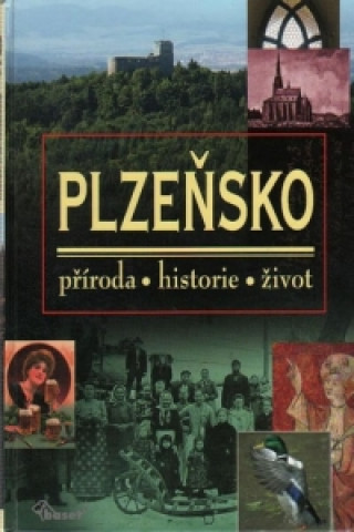 Книга Plzeňsko Vladislav Dudák