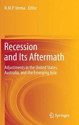 Könyv Recession and Its Aftermath Nmp Verma