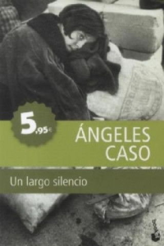 Könyv Un Largo Silencio Angeles Caso