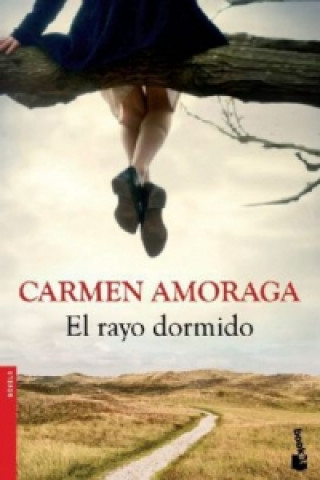 Kniha El Rayo Dormido Carmen Amoraga