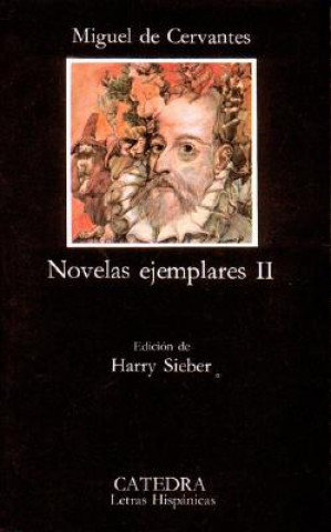 Kniha Novelas Ejemplares 2 Miguel de Cervantes Saavedra