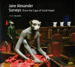 Könyv Jane Alexander: Surveys from the Cape of Good Hope Pep Subirós