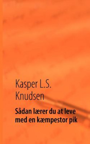 Kniha Sadan laerer du at leve med en kaempestor pik Kasper L S Knudsen