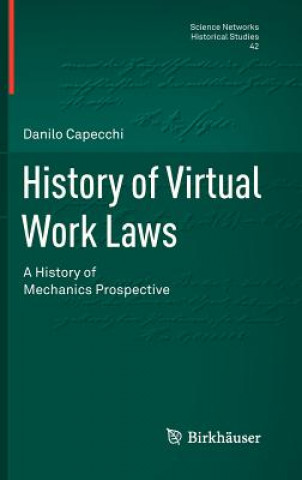 Buch History of Virtual Work Laws Danilo Capecchi