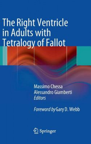 Kniha The Right Ventricle in Adults with Tetralogy of Fallot Massimo Chessa
