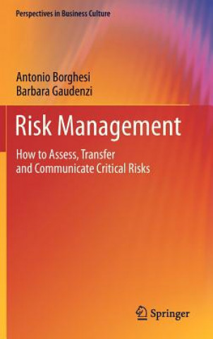 Kniha Risk Management Borghesi Antonio