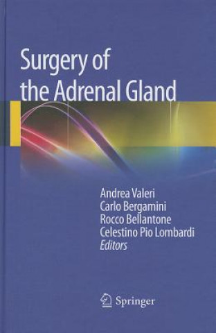 Könyv Surgery of the Adrenal Gland Andrea Valeri