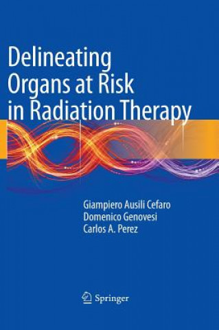 Könyv Delineating Organs at Risk in Radiation Therapy Giampiero Ausili C