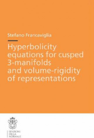 Könyv Hyperbolicity equations for cusped 3-manifolds and volume-rigidity of representations Stefano Francaviglia