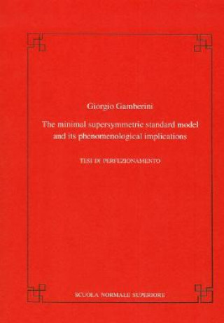 Carte The minimal supersymmetric standard model and its phenomenological implications Giorgio Gamberini