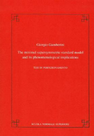 Kniha The minimal supersymmetric standard model and its phenomenological implications Giorgio Gamberini