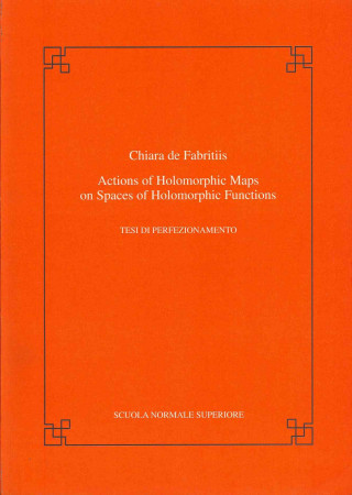 Könyv Actions of holomorphic maps on spaces of holomorphic functions Chiara de Fabritiis