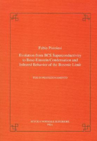Kniha Evolution from BCS super-conductivity to Bose-Einstein condensation and infrared behavior of the bosonic limit Fabio Pistolesi