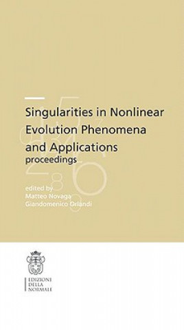 Könyv Singularities in nonlinear evolution phenomena and applications Matteo Novaga