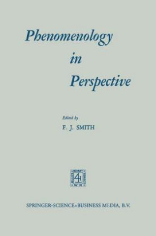 Könyv Phenomenology in Perspective mith