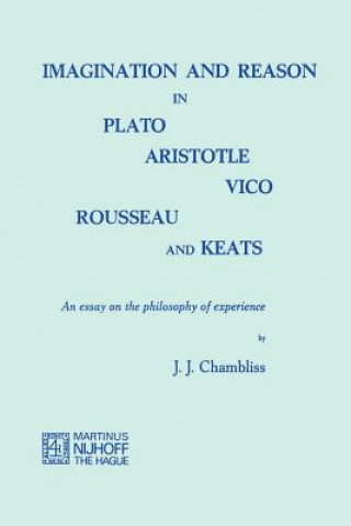 Książka Imagination and Reason in Plato, Aristotle, Vico, Rousseau and Keats J.J. Chambliss