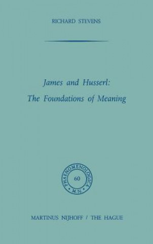 Książka James and Husserl: The Foundations of Meaning R. Stevens