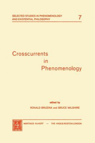 Könyv Crosscurrents in Phenomenology R. Bruzina