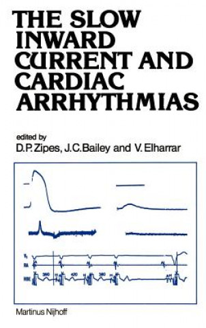Kniha Slow Inward Current and Cardiac Arrhythmias J. C. Bailey