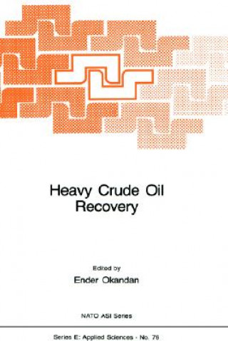 Kniha Heavy Crude Oil Recovery E. Okandan