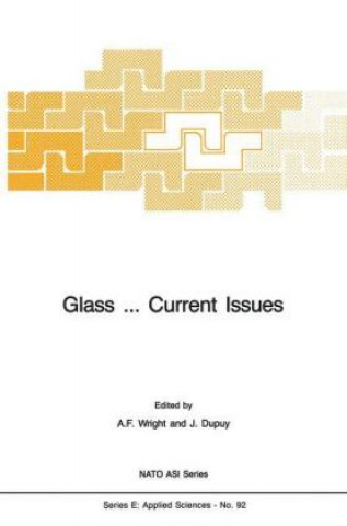 Książka Glass ... Current Issues A.F. Wright