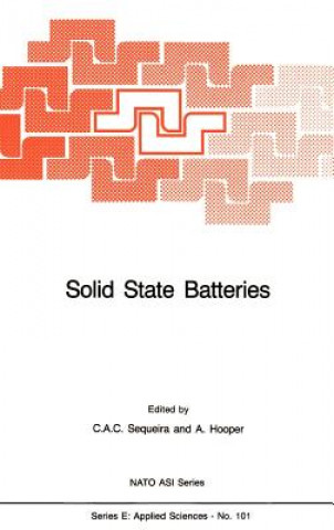 Könyv Solid State Batteries César A.C. Sequeira