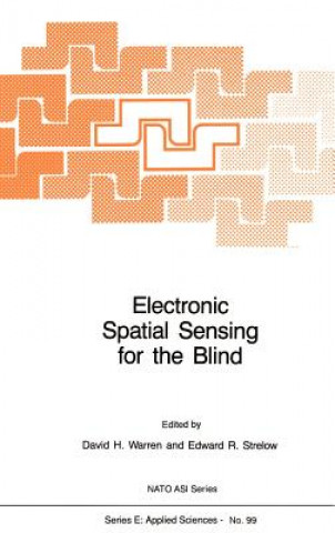 Knjiga Electronic Spatial Sensing for the Blind D.H. Warren