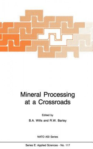 Kniha Mineral Processing at a Crossroads Barry A. Wills